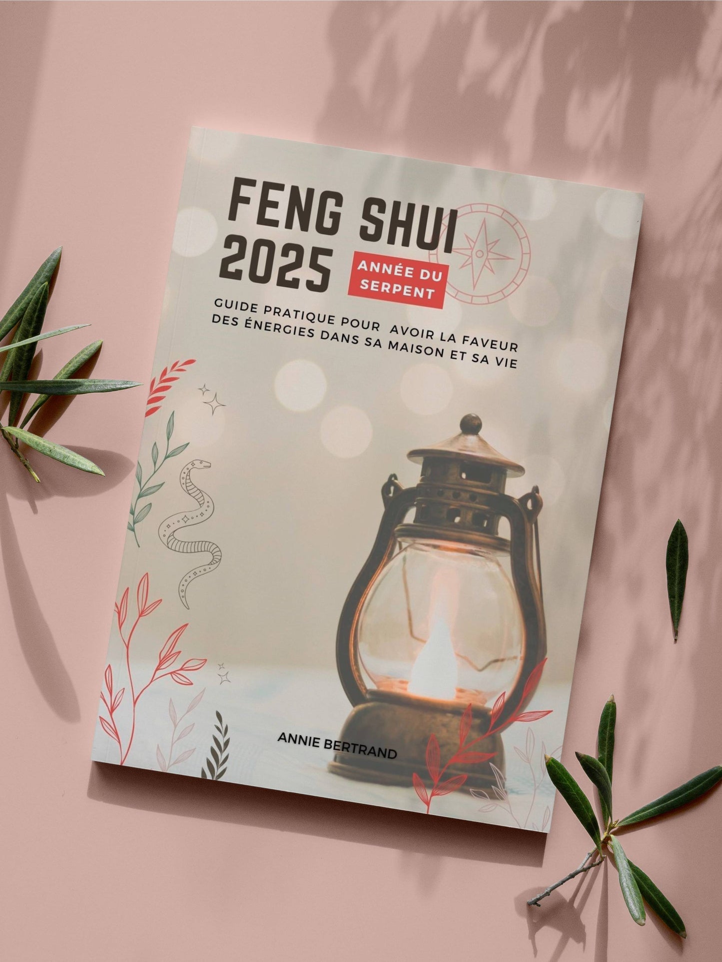 Feng Shui 2025 : année du Serpent de Bois | Guide pratique pour avoir la faveurs des énergies