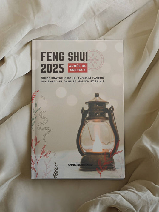 Feng Shui 2025 : année du Serpent de Bois | Guide pratique pour avoir la faveurs des énergies