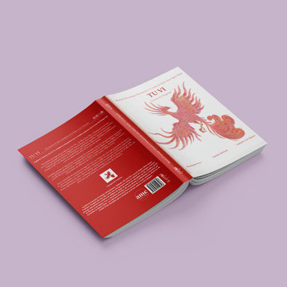 Livre d'astrologie chinoise Zi Wei Dou Shu